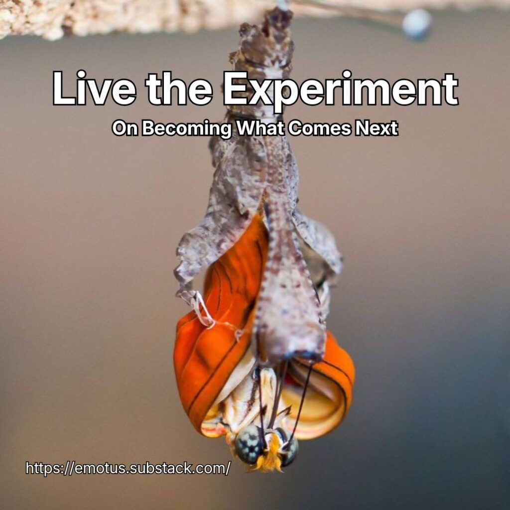 Live the experiment