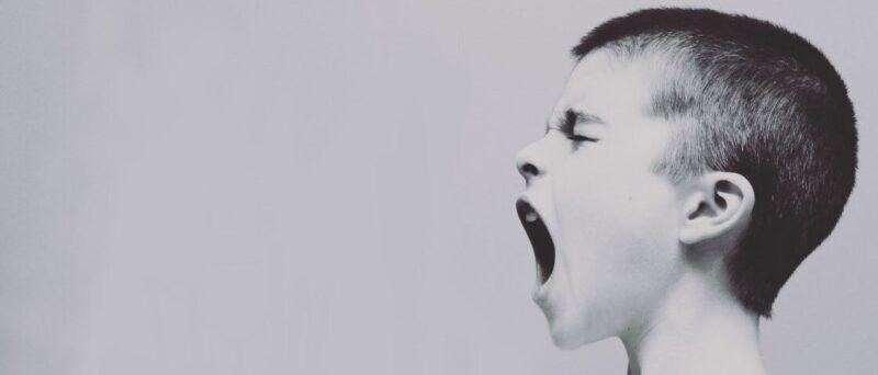 Bullies, Stooges, Lackeys and the Rest of Us