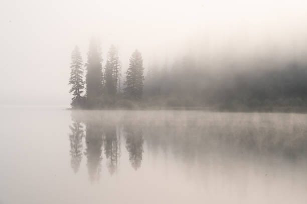 When we stop pretending – Part I