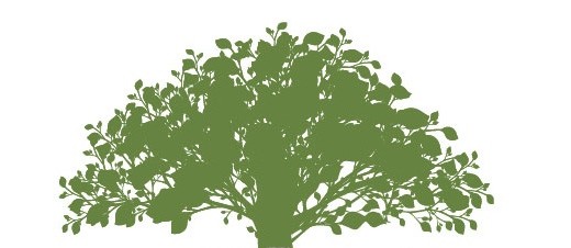 Putting out fires vs. planting more trees